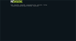 Desktop Screenshot of pmconsulting.biz